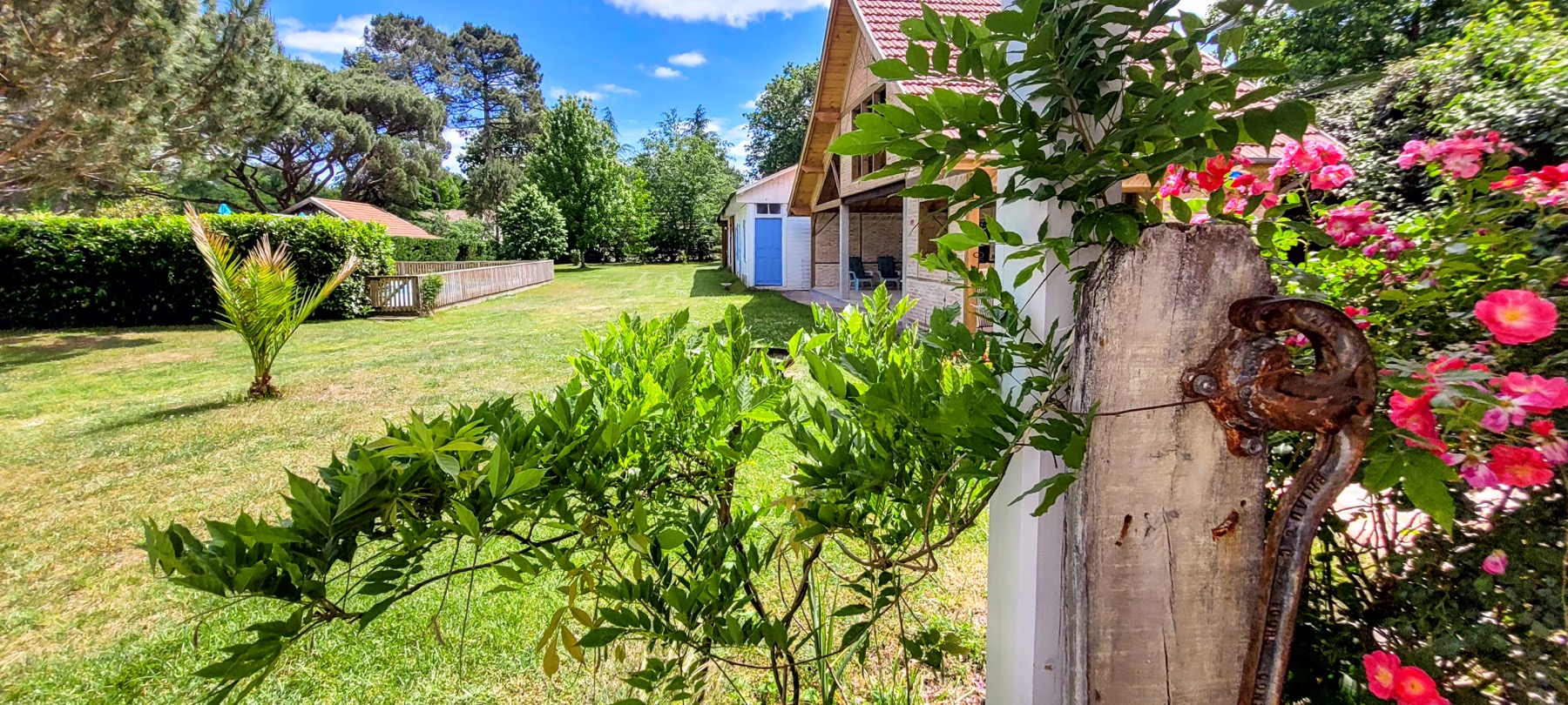 Jardin rosiers haie boulangerie nature