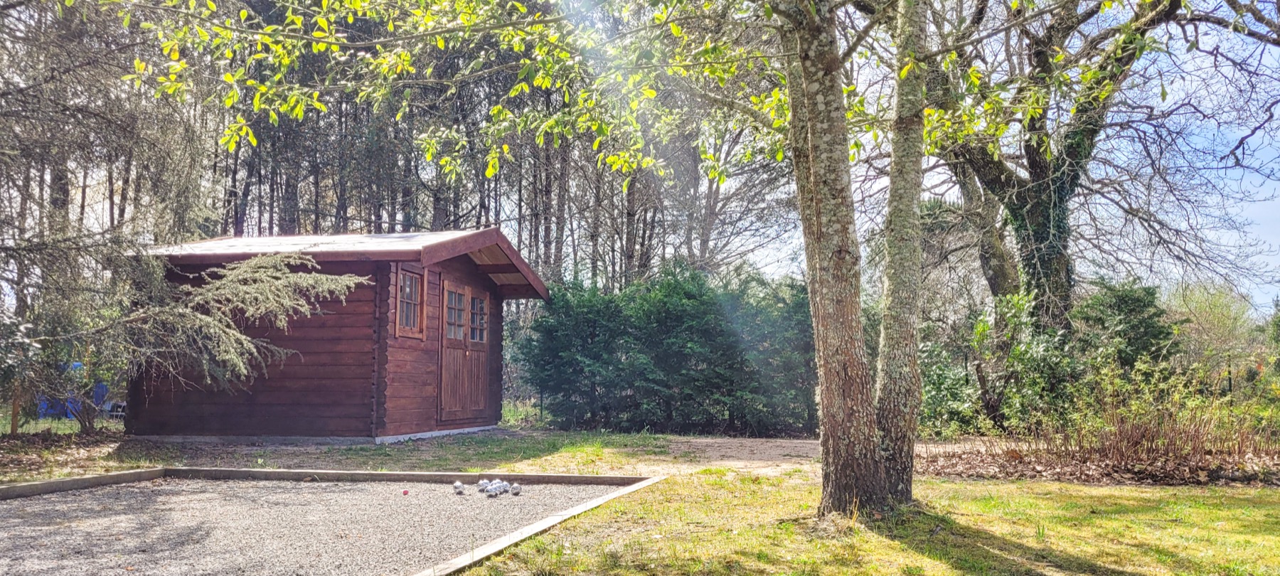 Chalet bois jardin arbres espace nature
