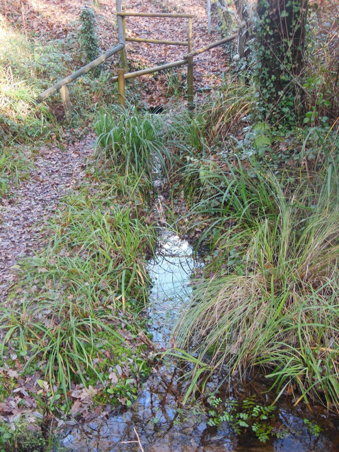 La Fontaine Saint-Michel, en el pueblo de Lüe